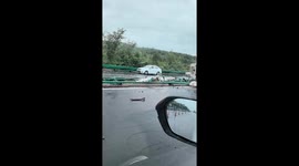 Truck overturns, pigs scattered on the road in Beijing, China