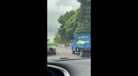 Herd of runaway goats block busy road in Taiwan