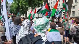 UK: Gaza solidarity rally near Downing Street in Central London