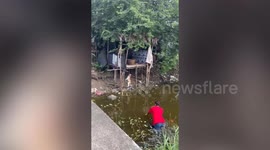 Pet dog left hanging by rope over canal saved just in time