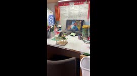 Parrot eats snacks while watching movie in Sichuan, China