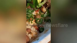 Woman finds caterpillar crawling around in her Chipotle takeaway bowl
