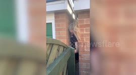 Woman squeezes herself through tiny five-and-a-half-inch gap to rescue kittens