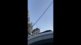 Sliding cat! Cat sitting on top of van and wants to go down so he slides head first down the windshield, seen from the inside of the van through the window underneath the cat.