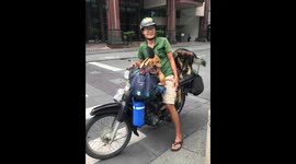 Smiling Man With Two Happy Dogs on a Scooter – Life in the Streets of Vietnam