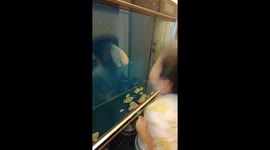 Child and fish mimic each other through aquarium in Guangdong, China
