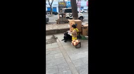 Child gently decorates calm dog with stickers in Heilongjiang, China