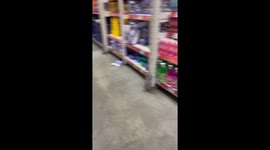 Adorable Dinosaur Family Goes Grocery Shopping