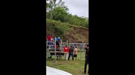Bull breaks out and causes chaos during event in Ocu, Panama