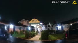 US: Police Confront 6-Foot Alligator at Motel That Escaped While En Route to Zoo