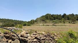 mini tornado en los prepirineos de Lérida ,alt Urgel