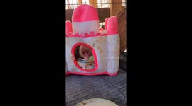 Opossum Waking Up on a Saturday