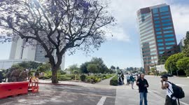 ICE Protests 2025: Los Angeles: Marines On Patrol