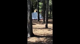 Local Elk Not Happy With a Camper