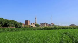 Egypt: Egypt transforming acres of desert into arable farmland