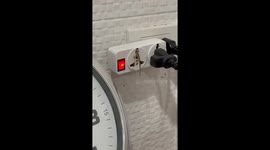 Baby lizard stuck in plug powerpoint rescued with chopsticks