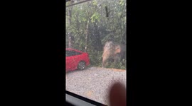 Elephant emerges from forest during rain storm in Thailand