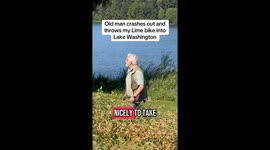 Tesla driver throws e-bike into Washington lake over parking issue