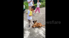 Dog doesn't not want little boy to go home after an afternoon of playing