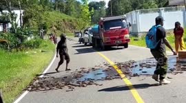 Hundreds of eels spill from motorbike causing traffic jam in Indonesia