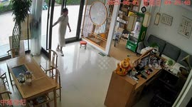 Cat gets head stuck in door jamb in Shandong, China