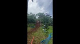 Mountain biker hurtling down hill crashes into tree