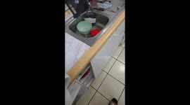 Kitten Climbs Owner In Kitchen
