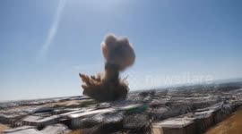 Gaza Strip: Palestinian death toll in Gaza rises to 55,637