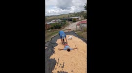 Agricultural Engineer Implements New Corn Drying Technique