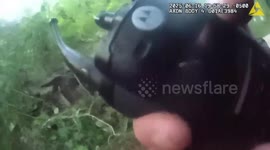 Caught on Camera: K-9 Max Finds Gun Used in Shooting