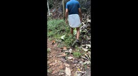 Coconut juice drinking in traditional way