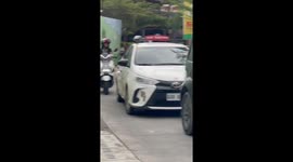 Realistic sticker pranks passersby into thinking kitten is trapped in car