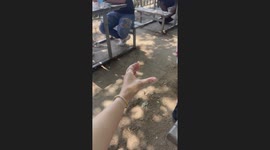 How Prague locals carry 4 beers at once—No tray needed