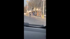Escaped ostrich runs along road in China
