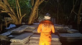 South American man missing for three months found hiding up rainforest tree