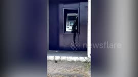 Monitor lizard hugs ATM to stop shopper from withdrawing cash