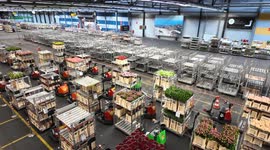 Pallets of carefully packed bouquets wait as logistics teams recharge.