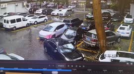 Driver just seconds away from being crushed by falling tree in China