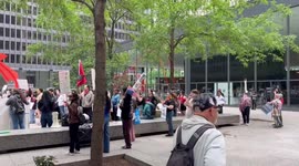 US: Tens of Thousands Rally Across Country Ahead of Army Parade 6