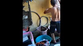 Pet cat leaps into washing machine as owner does laundry