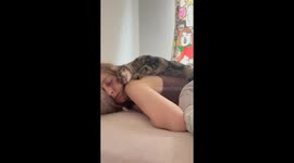 Being woken up by a cat in love instead of an alarm