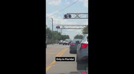 Impatient Drivers Go Around Train Crossing Rails