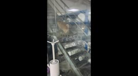 Cute dog hops up stairs with unique step in Jiangsu, China