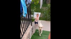 Toddler plays with dad’s herbal compress left in stroller in Yerevan, Armenia