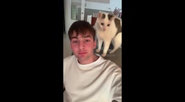 Cat slaps owner's mouth and hisses in surprise moment in Lebrija, Spain
