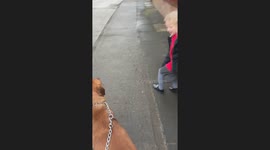 Dog Copies His Human Sibling