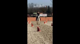 Girl performs high-speed horseback archery that looks straight out of a movie