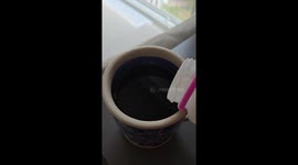 Mesmerizing Cream Dispersal In Coffee