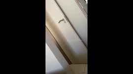 Girl shows mom that spelling 'KFC' isn't a piece of cake
