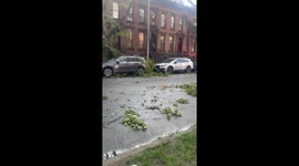 US: Powerful Winds Cause Tree Damage in New York City
